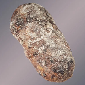 Reserve Store Made Specialty Breads